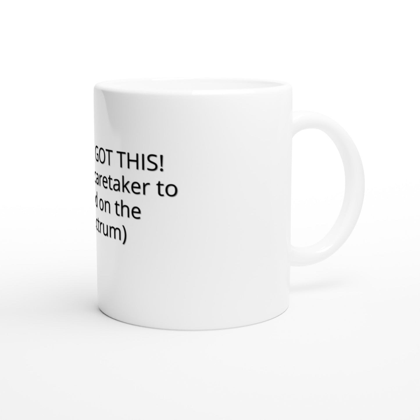 Ceramic Mug You've got this caretaker (not)